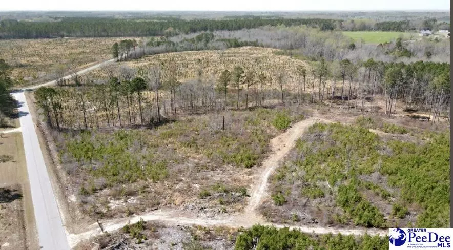 Mt Croghan, SC 29727,Tract 2 Hallelujah Rd