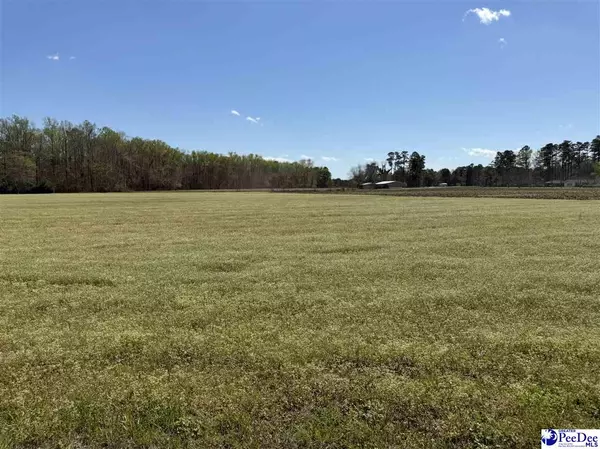 Hemingway, SC 29554,Dennis Rd
