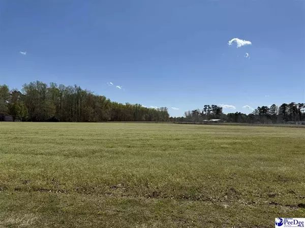 Hemingway, SC 29554,Dennis Rd