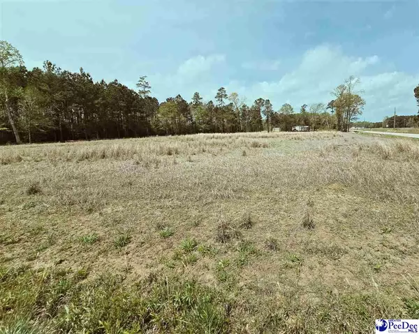 Loris, SC 29569,TBD 3 Highway 366