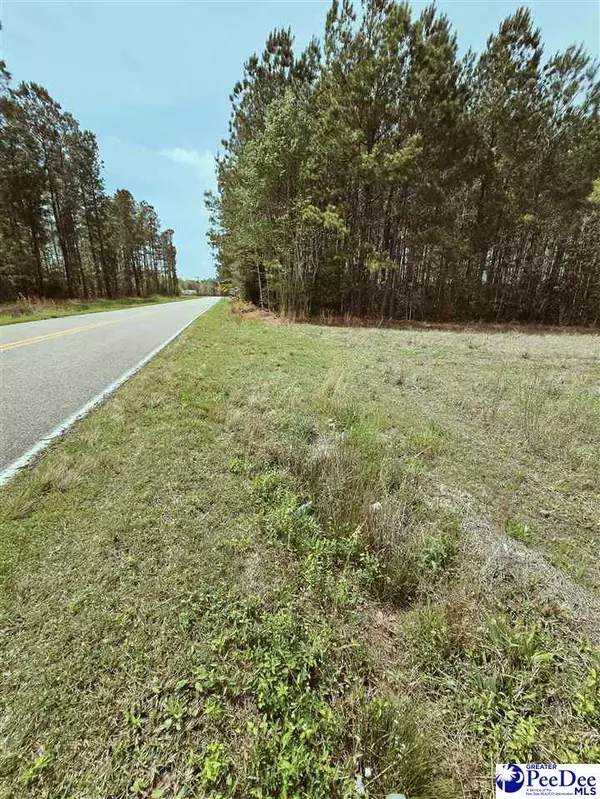 Loris, SC 29569,TBD 3 Highway 366