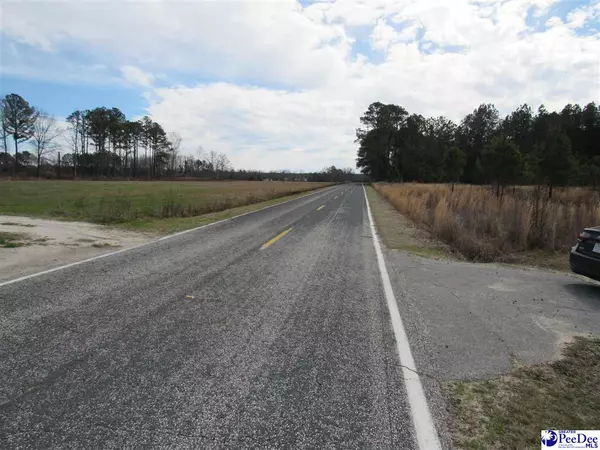 Lamar, SC 29069,TBD E Lynches River Road