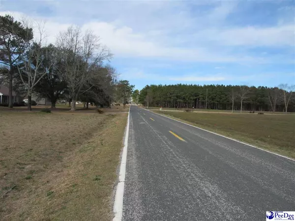 Lamar, SC 29069,TBD E Lynches River Road