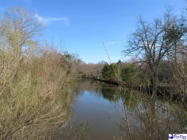 Scranton, SC 29591-0000,861 Tyler Road