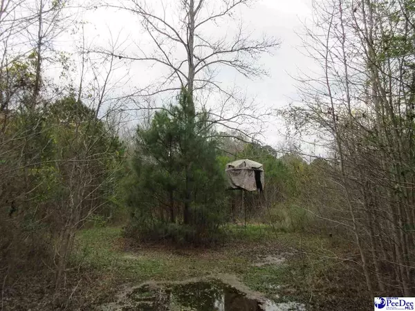 Scranton, SC 29591-0000,861 Tyler Road