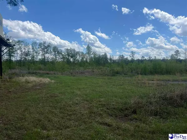 Timmonsville, SC 29161,2104 Pate Lane