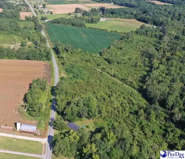 Scranton, SC 29591-5181,Tract 1 Borkowitz Road