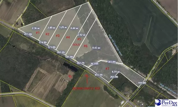 Tract 2 Borkowitz Road, Scranton, SC 29591-5181