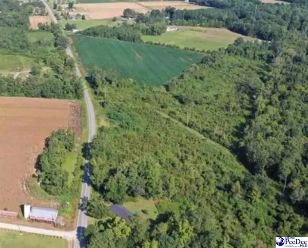 Scranton, SC 29591-5181,Tract 2 Borkowitz Road