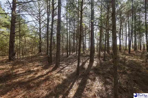 Lamar, SC 29069,TBD Cartersville Highway