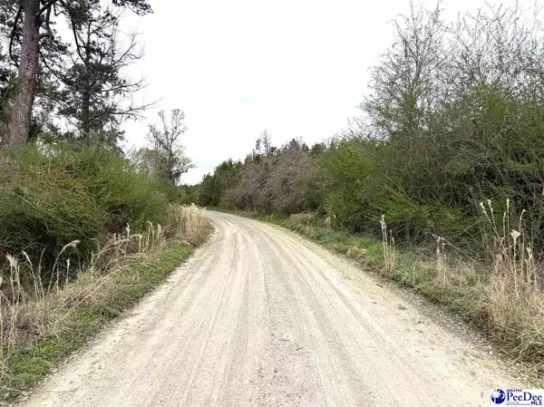 Hemingway, SC 29554,Atlantic Rd