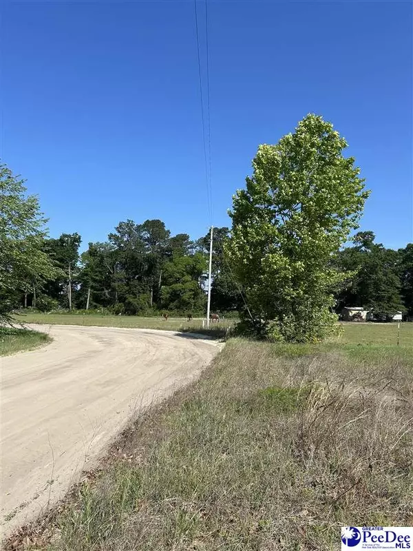 Latta, SC 29565,TBD Treasure Cove