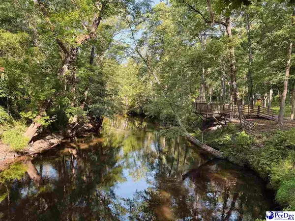 Florence, SC 29501,60 Acres W Freight Road