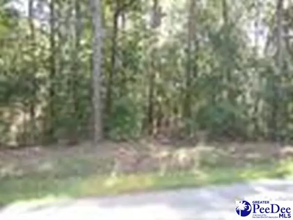 Lots Quinby Forest, Quinby, SC 29506