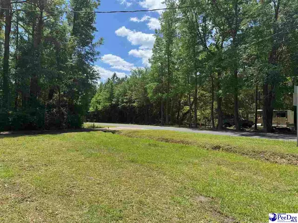 Timmonsville, SC 29161,869 W Deer Rd