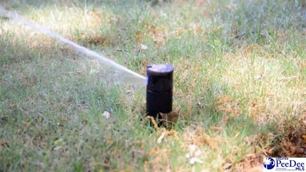 Florence, SC 29501,1233 Summer Duck Loop (Lot 69)