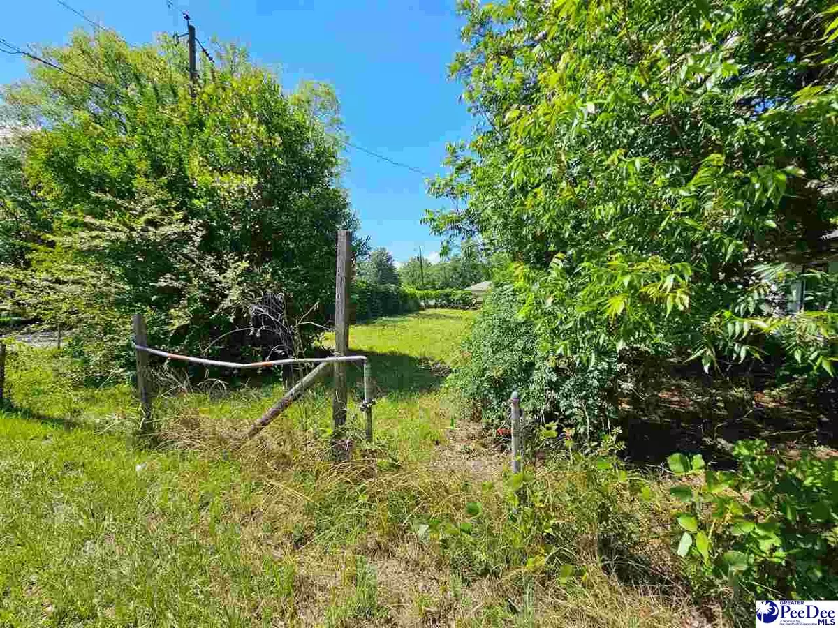 Hartsville, SC 29550,222 Marion Ave