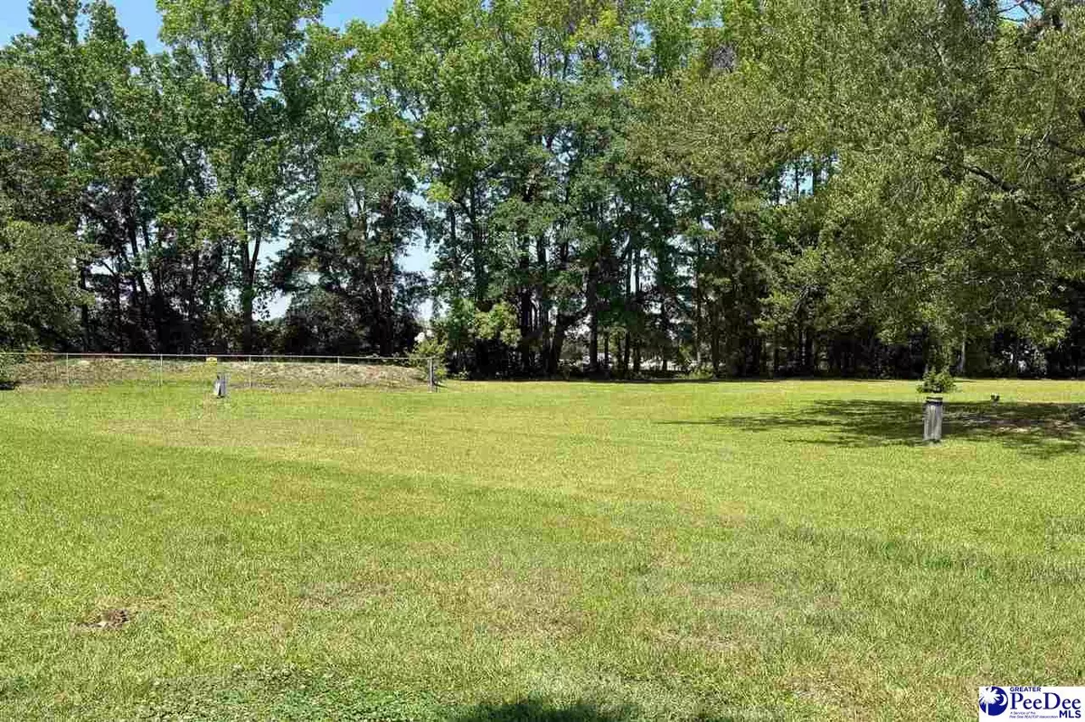 Darlington, SC 29540-0000,107 Wallace Park Lane