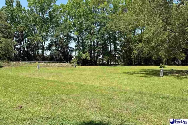 107 Wallace Park Lane, Darlington, SC 29540-0000