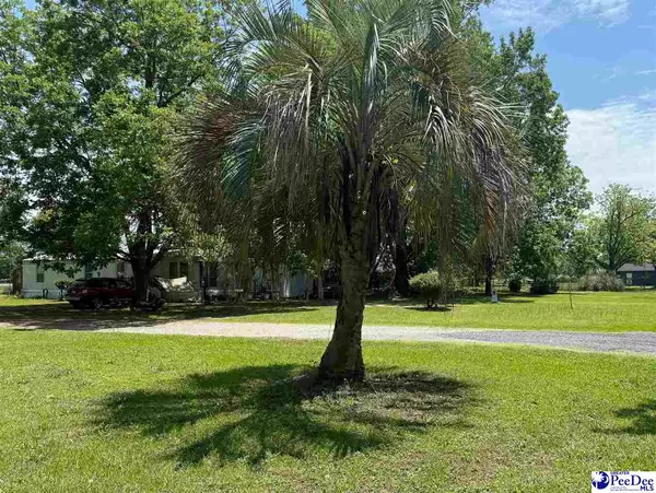 Darlington, SC 29540-0000,107 Wallace Park Lane