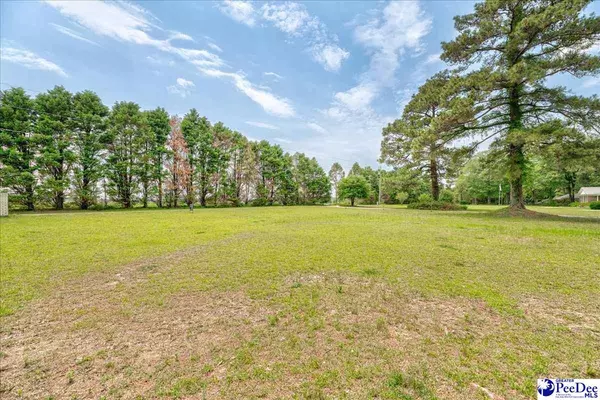 Lamar, SC 29069,133 Peacock Row