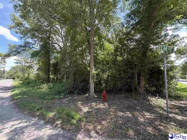 Johnsonville, SC 29555,Elm Street