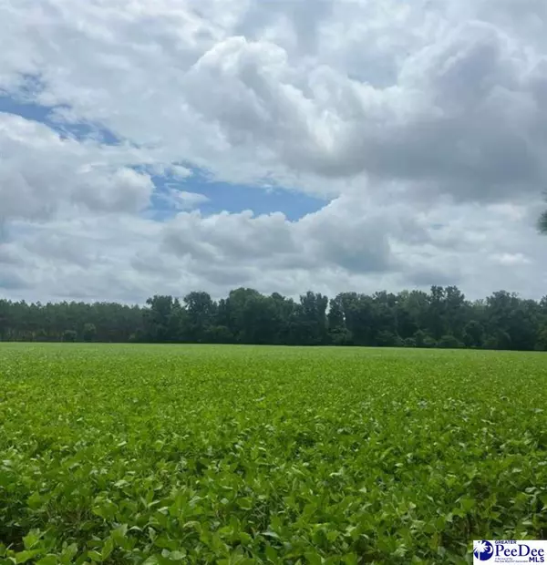 TBD Puddin Swamp Rd, Turbeville, SC 29162