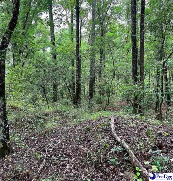 Turbeville, SC 29162,TBD Puddin Swamp Rd