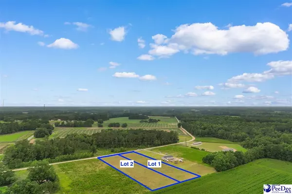 Nichols, SC 29581,Lot A TBD Pleasant Veiw Church Road