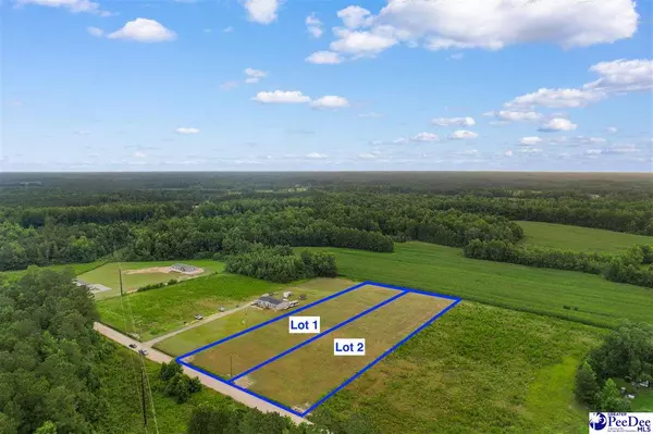 Nichols, SC 29581,Lot A TBD Pleasant Veiw Church Road