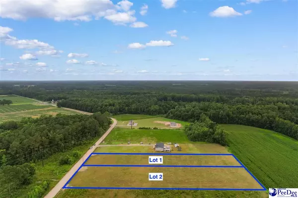 Nichols, SC 29581,Lot A TBD Pleasant Veiw Church Road