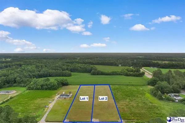 Nichols, SC 29581,Lot B TBD Pleasant Veiw Church Road