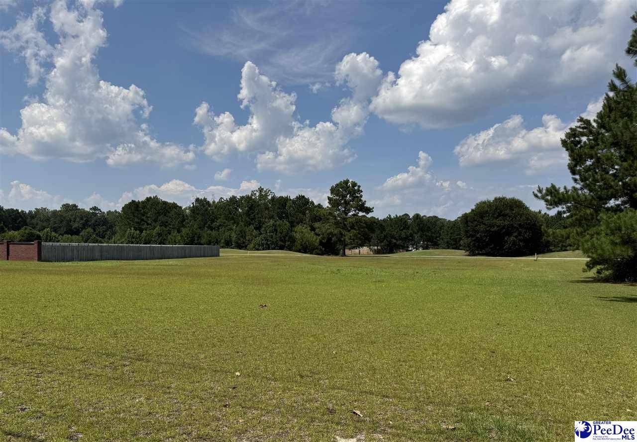 Darlington, SC 29532,Lot 5 Southborough Road