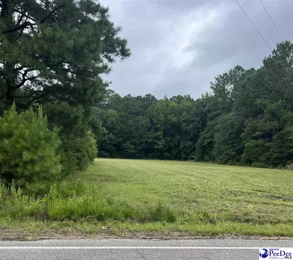 LT 3 & LT 4 Anderson Bridge Rd, Scranton, SC 29591-00