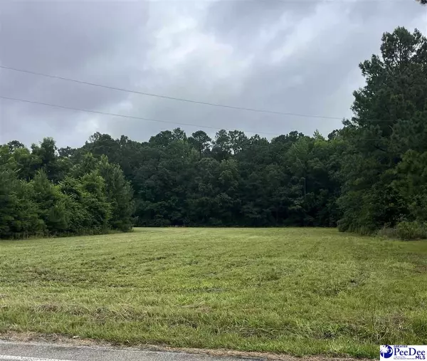 Scranton, SC 29591-00,LT 3 & LT 4 Anderson Bridge Rd
