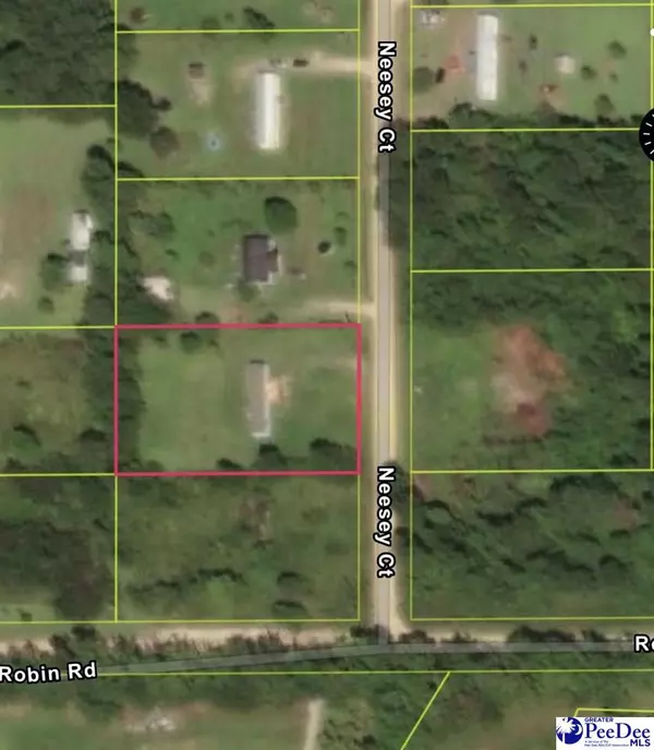 Marion, SC 29571,TBD Nessey Ct