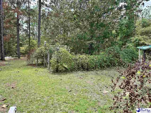 Hartsville, SC 29550-9204,305 W Old Camden rd