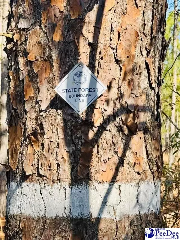 Hartsville, SC 29550,Coastal Lane