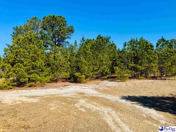 Hartsville, SC 29550,Coastal Lane