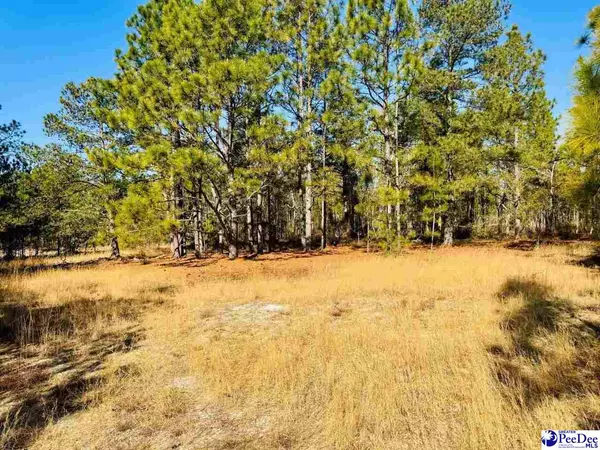 Hartsville, SC 29550,Coastal Lane