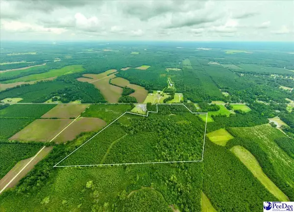Florence, SC 29505,53 Acres Old River Rd