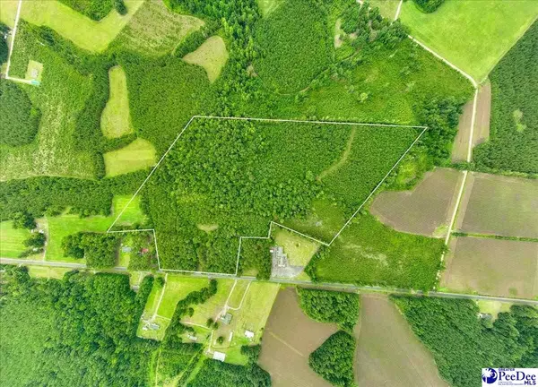 53 Acres Old River Rd, Florence, SC 29505
