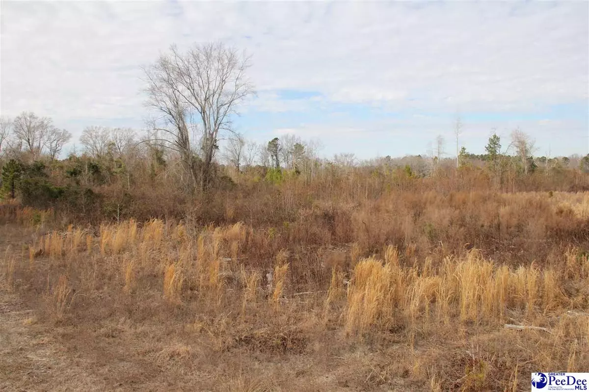 Lamar, SC 29060,TBD Country Manor Road