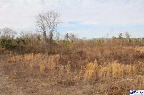 TBD Country Manor Road, Lamar, SC 29060