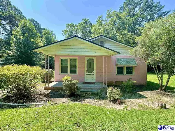 2232 William Gibbons Rd, Turbeville, SC 29162