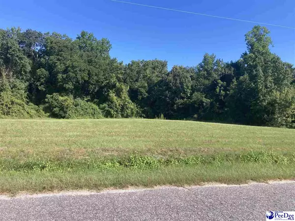 Hamer, SC 29547,Lone Home Drive