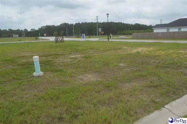 1283 Egrets Point, Hartsville, SC 29550