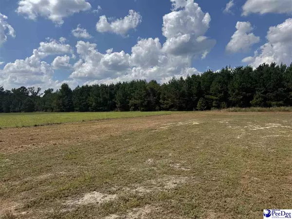 Effingham, SC 29541-4492,2260 Discus Lane