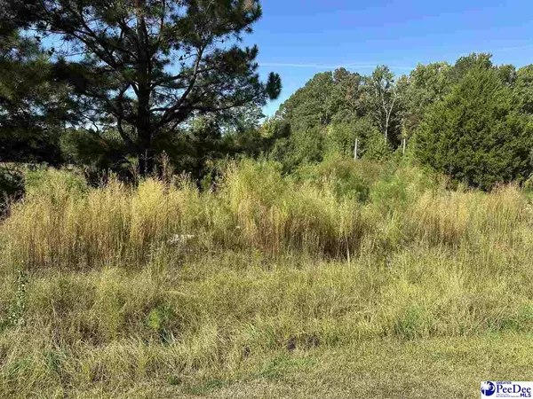 Darlington, SC 29540,622 Willowtree Rd