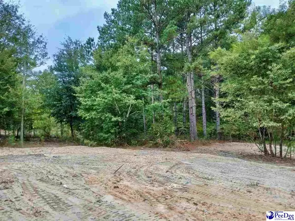Patrick, SC 29584,Gulledge Lane